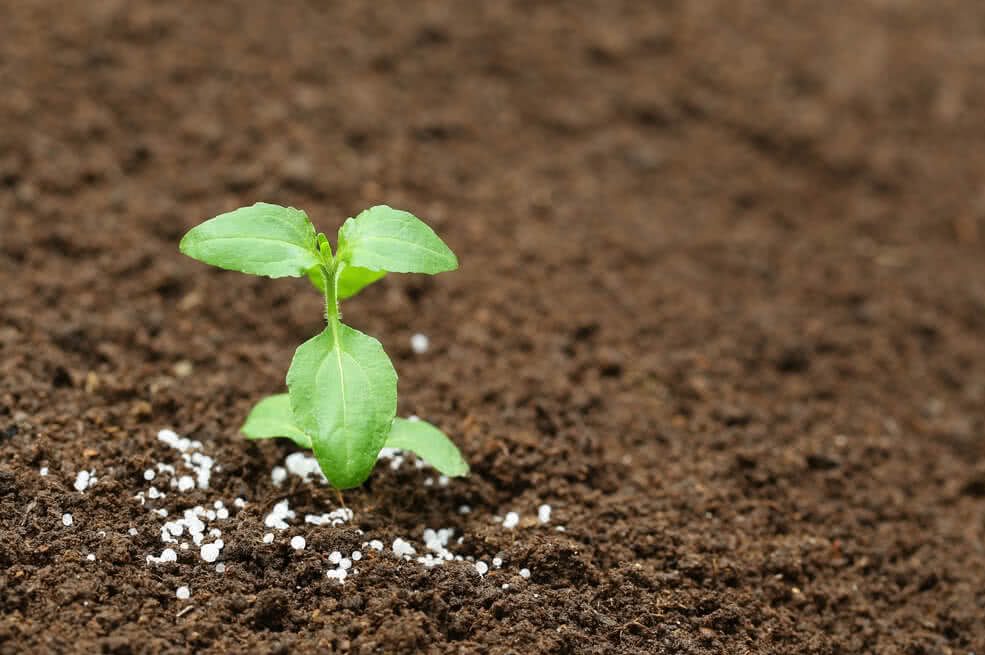 Agriculture Vivri Re La Hausse Des Prix Des Engrais Provoque Une