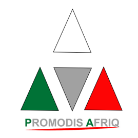 - Logo Promodis - Entretien Exclusif avec Martin NGOUCHET Président Directeur General de NGOUCHET GROUP.