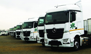 - camions FAL 300x180 - Entretien Exclusif avec Martin NGOUCHET Président Directeur General de NGOUCHET GROUP.